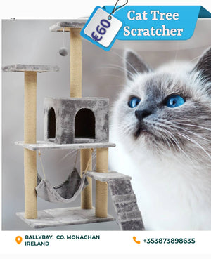 Large Kitten Cat Tree ScratcherThis cat tree comes with a hammock and a ladder 
Cats love to climb and hide- this cat tree provides all features for them to do so. 
The size of this luxurious cond