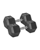 20KG Rubber Hex Dumbbell 2x20kg