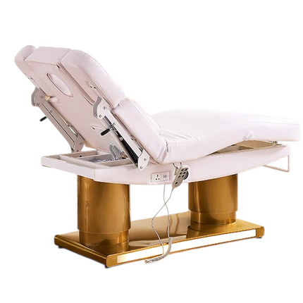 Electric Spa Massage Bed with LED Lighting, 4 Motors