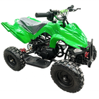 Mini Kids Quad 49cc Pull Start