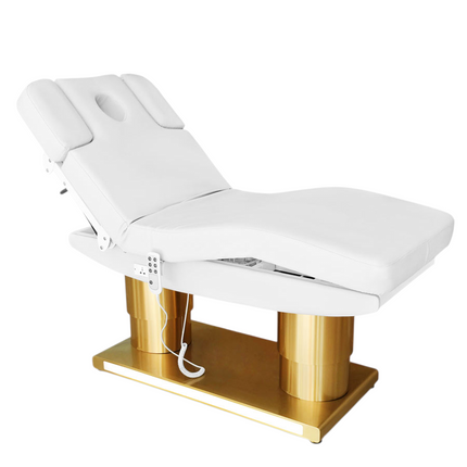 Electric Spa Massage Bed with LED Lighting, 4 Motors