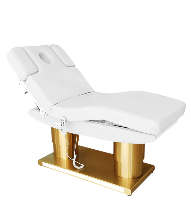 Electric Spa Massage Bed with LED Lighting, 4 Motors