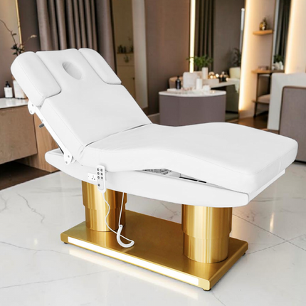 Electric Spa Massage Bed with LED Lighting, 4 Motors