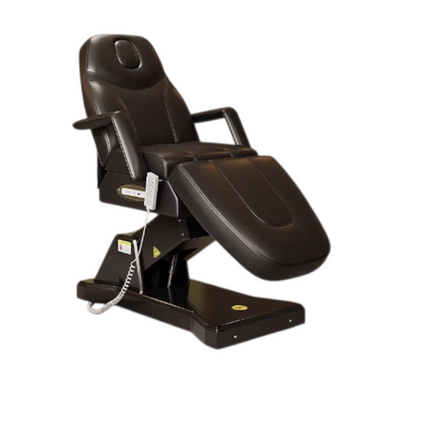 Electric Multifunctional Beauty Bed