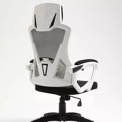 Ergonomic Office Chair