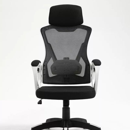 Ergonomic Office Chair