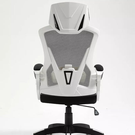 Ergonomic Office Chair