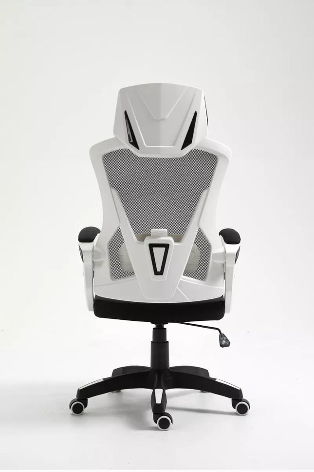 Ergonomic Office Chair